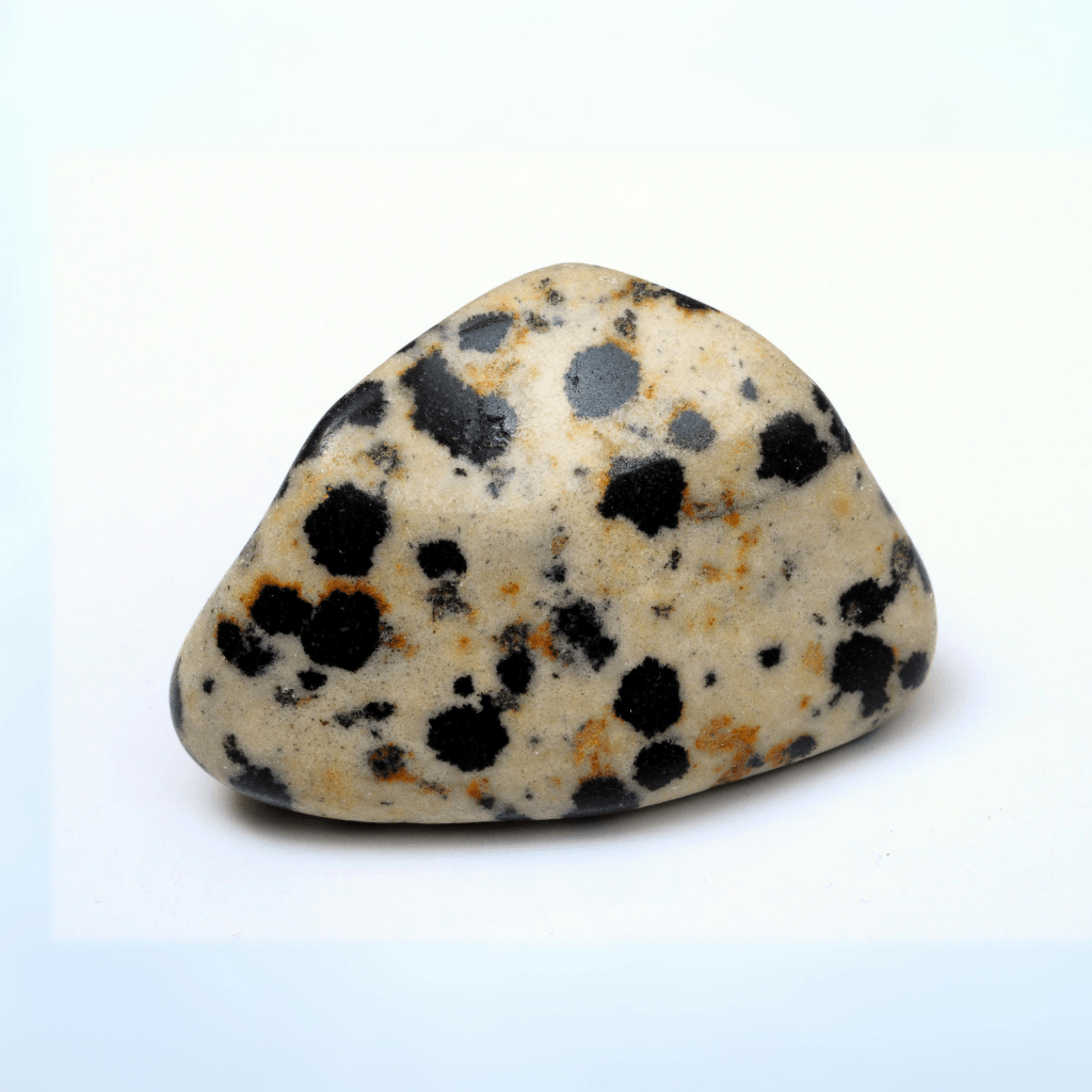 dalmation tumbled stone close up with white background