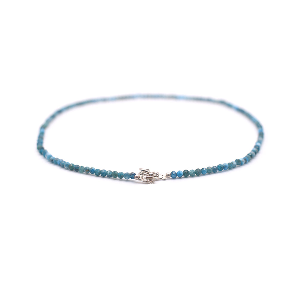 Turquoise Necklace (Silver Hook)