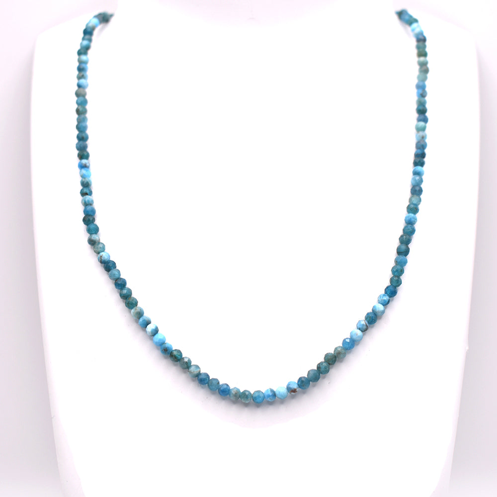 Turquoise Necklace (Silver Hook)