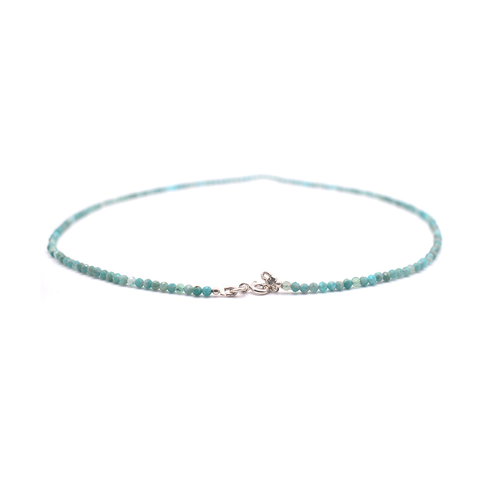 Amazonite Necklace (Silver Hook)