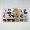 Seven Chakra Trees in Box