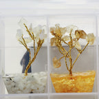 Seven Chakra Trees in Box