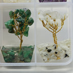 Seven Chakra Trees in Box