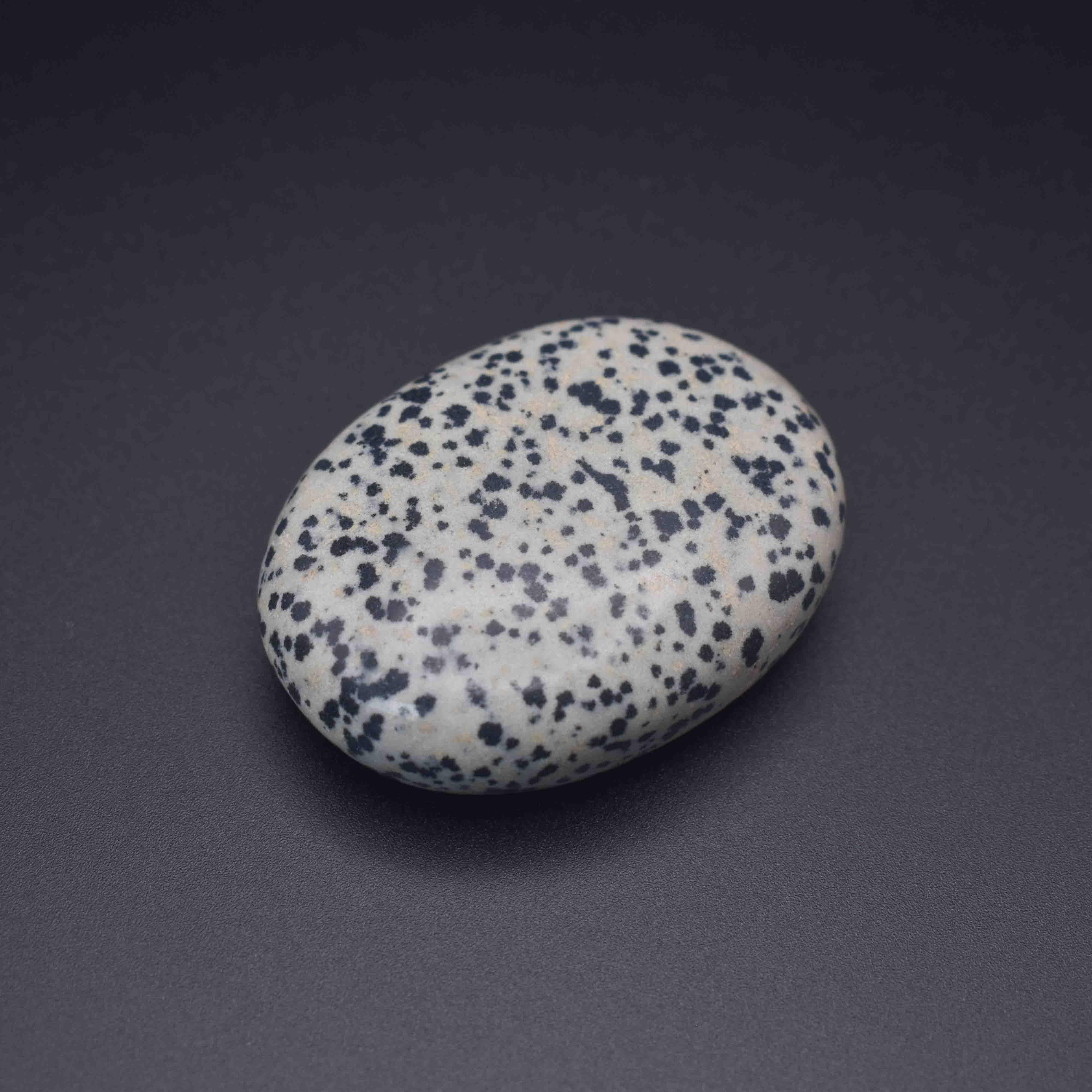 Dalmatian Palm Stone - Mystic Gleam