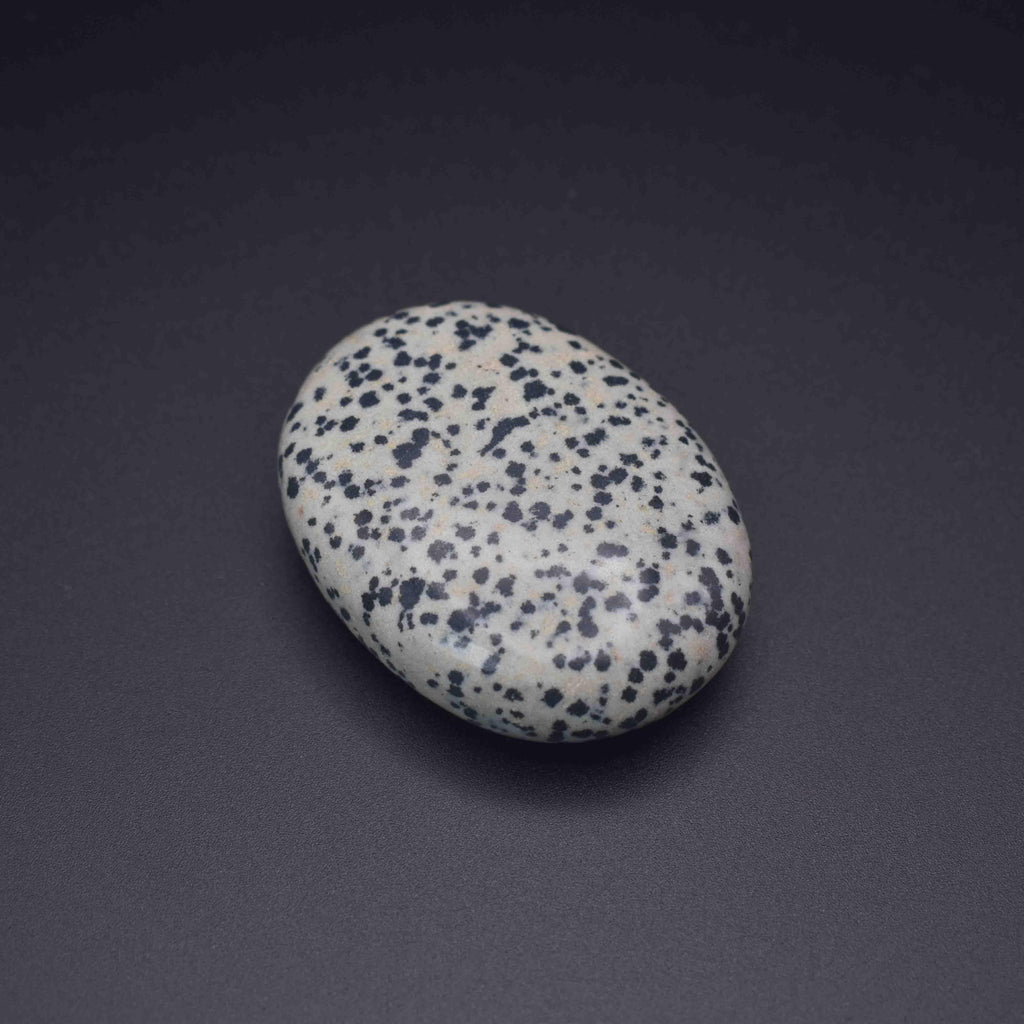 Dalmatian Palm Stone - Mystic Gleam
