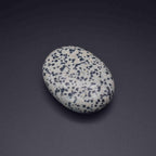 Dalmatian Palm Stone - Mystic Gleam