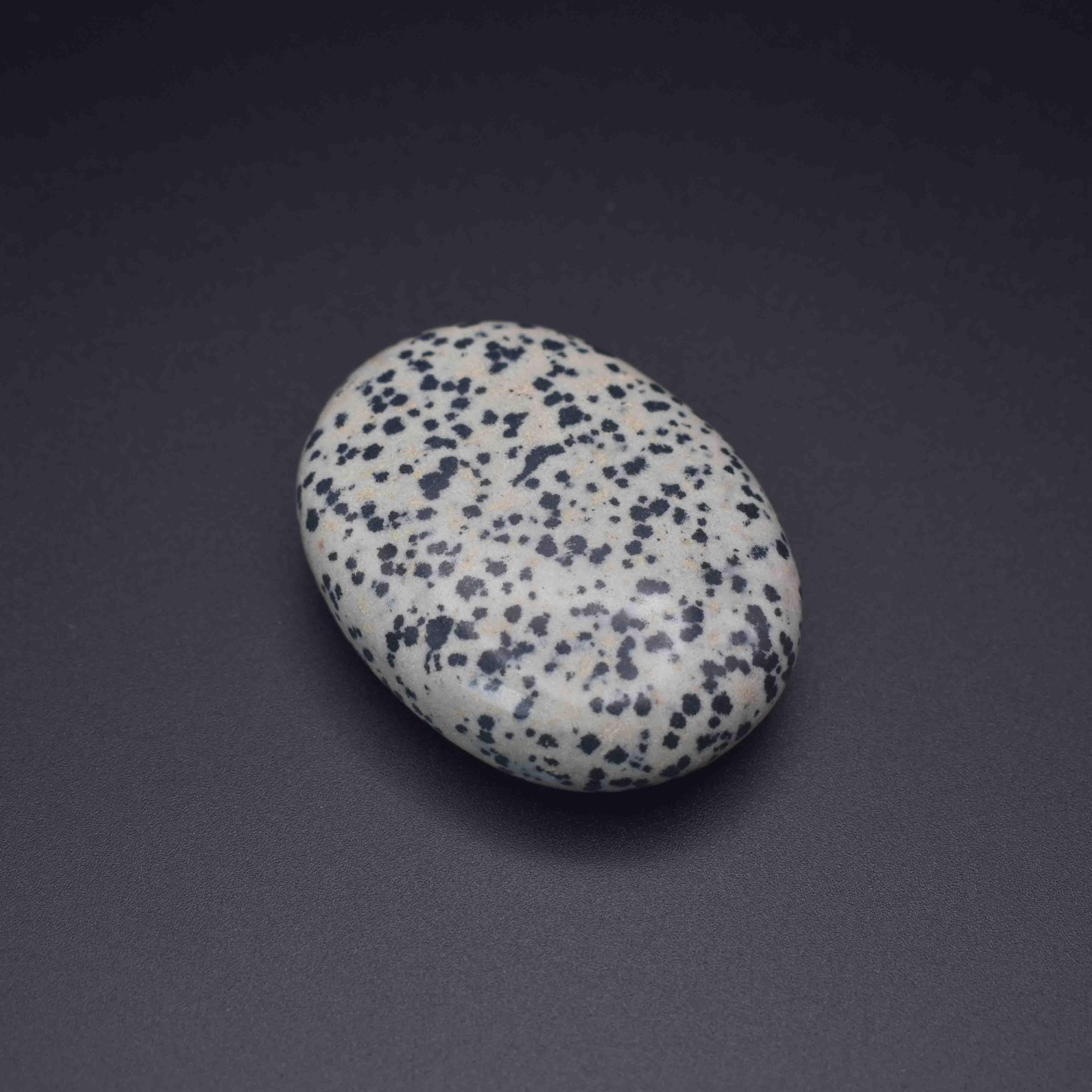 Dalmatian Palm Stone - Mystic Gleam