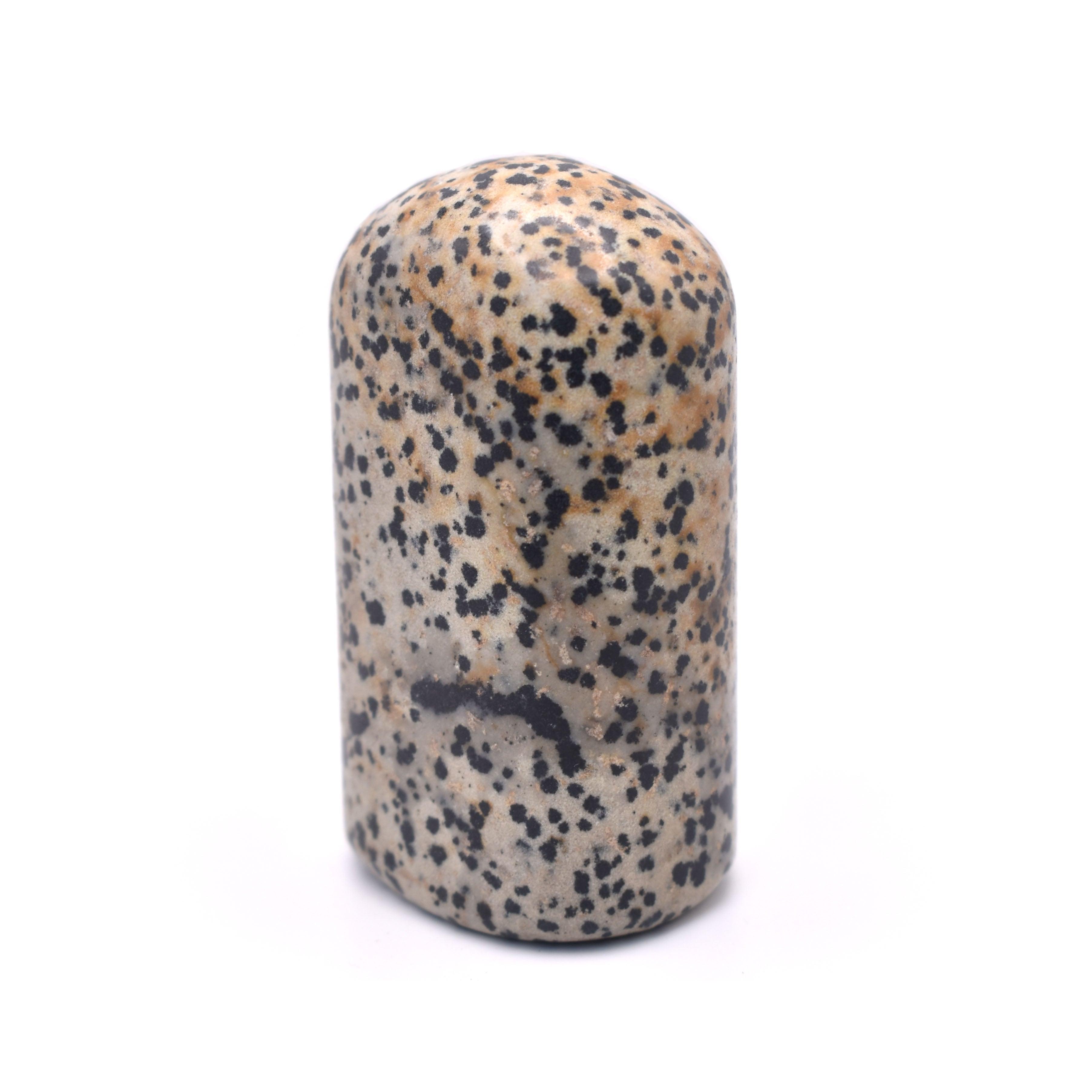 Dalmatian Unshape - Mystic Gleam