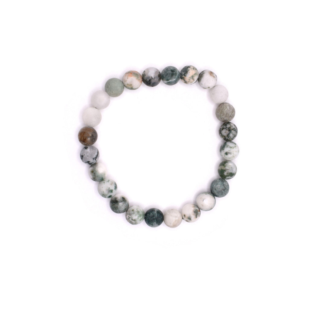 Tree Agate Bracelet - Mystic Gleam
